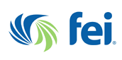Financial Executives International